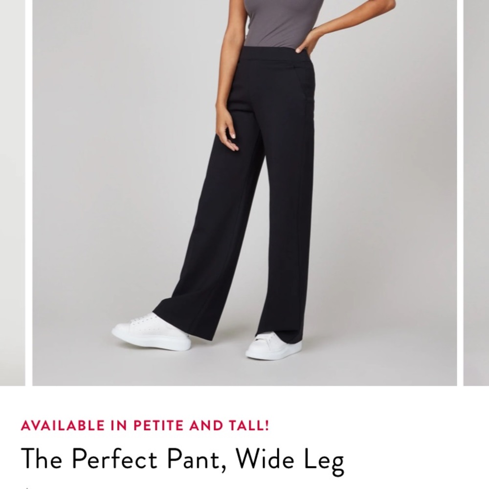 Spanx Black perfect pant wide leg sz Large Petite NWT